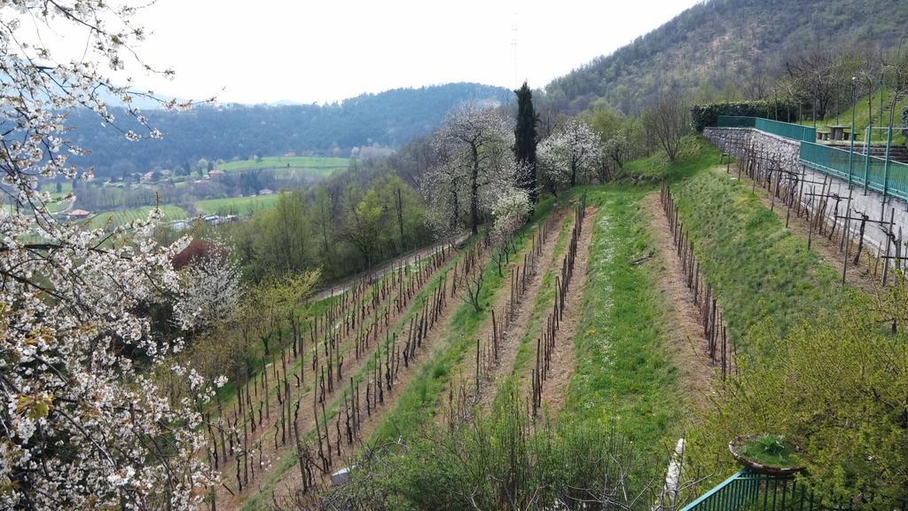 مبيت وإفطار تريسكوري بالنياريو Agriturismo Il Mirabile المظهر الخارجي الصورة