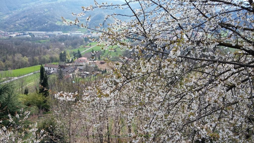 مبيت وإفطار تريسكوري بالنياريو Agriturismo Il Mirabile المظهر الخارجي الصورة
